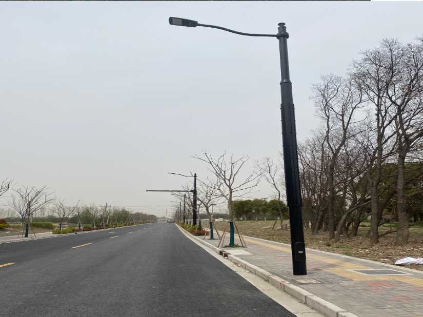 滨城区上海综合杆 太阳能路灯工程